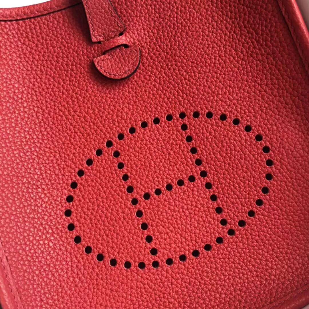 에르메스 미니 에블린16 부겐빌리에 은장 토고가죽